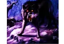 EVIL WOLF