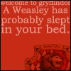 Welcome To Gryffindor
