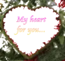 my heart for you