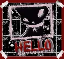 hello black cat