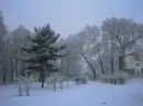 Winter 2009: China