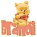 baby winnie pooh brandi