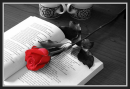 SHARE A RED ROSE