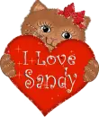 I love Sandy
