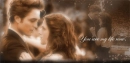 Twilight