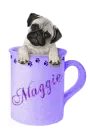 Maggie