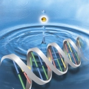 genetics
