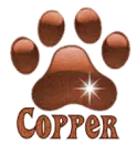 Paw Print