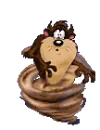 Tazmania