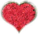 heart of roses