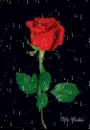 rose in the rain