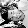 taylor lautner 
