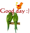 good day