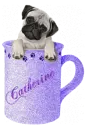 Catherine