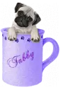 Tabby