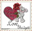 Bridgett
