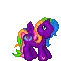 pony