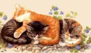 Kittys