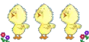 Little CHickens