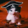 Pirate