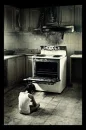 sadness.in.death.