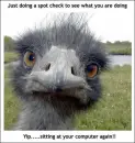 Computer Emu