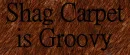 Shag Carpet