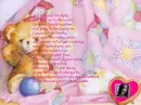 teddy bear w/ pic