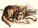wolf