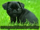 firend luv kealey