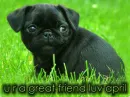 firend luv april