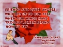 Rose Friends are Angels