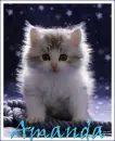 Amanda