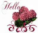 Hello