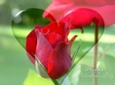 Valentine Flower