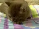 qqqq
