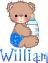 Baby Bear- William 