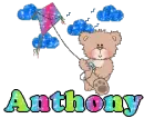 Kite Bear- Anthony