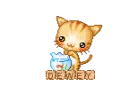 Dewey Cat with a Goldfish