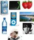 interests