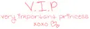 V.I.P