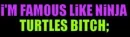 Ninja Turtles