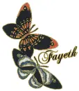 Fayeth-butterflies