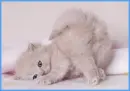 cuteee