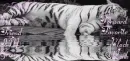 White Tiger Table