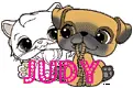 judy,s little petshop