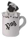 Pug