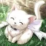 cute