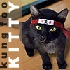 kung foo kitty