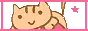 kawaii cat